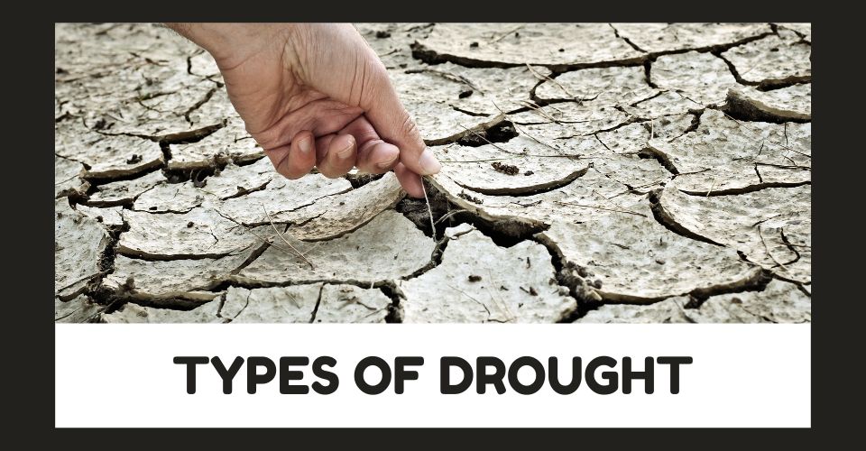 5 Types of Drought & Their Impacts on Human Activities [Explained]